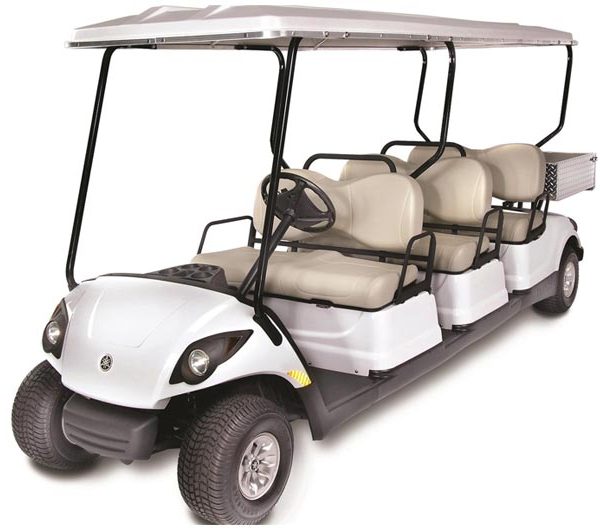 electric golf cart for sale, Concierge 6 QuieTech EFI