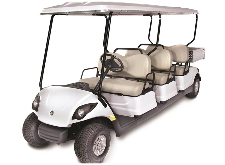 electric golf cart for sale, Concierge 6 QuieTech EFI